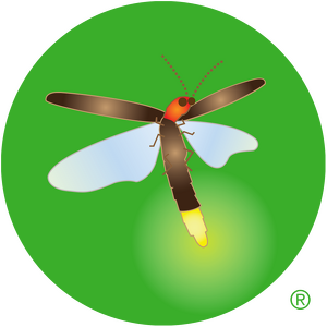 What is Wild and Why it Matters - logo