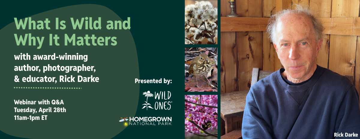 What is Wild and Why it Matters